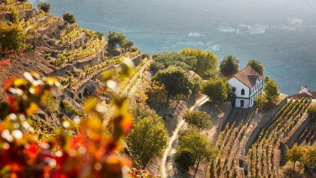 Quinta do Noval